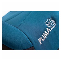 Autosedačka-podsedák CARETERO Isofix Puma Isofix cherry