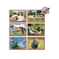 Skladacie obrázkové kocky 12 ks domáce zvieratká