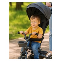 Detská trojkolka Baby Mix 5v1 RELAX 365° sivá