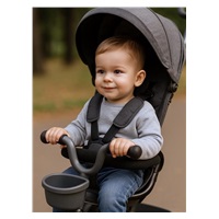 Detská trojkolka Baby Mix 5v1 RELAX 365° sivá