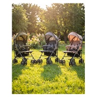 Golfový kočík Olive Baby Mix sivý