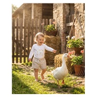 Detské body s potlačou New Baby Husičky - krátky rukáv