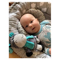 BAZÁRIK Edukačná hrajúca plyšová hračka s klipom Baby Mix zebra