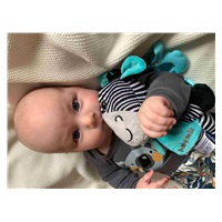 BAZÁRIK Edukačná hrajúca plyšová hračka s klipom Baby Mix zebra
