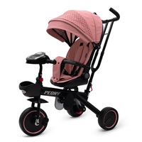 BAZÁRIK Detská trojkolka Baby Mix Peony EVA ružová