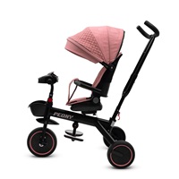 BAZÁRIK Detská trojkolka Baby Mix Peony EVA ružová