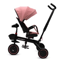 BAZÁRIK Detská trojkolka Baby Mix Peony EVA ružová