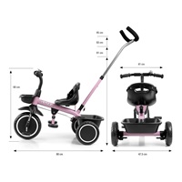 Detská trojkolka Milly Mally Axel pink